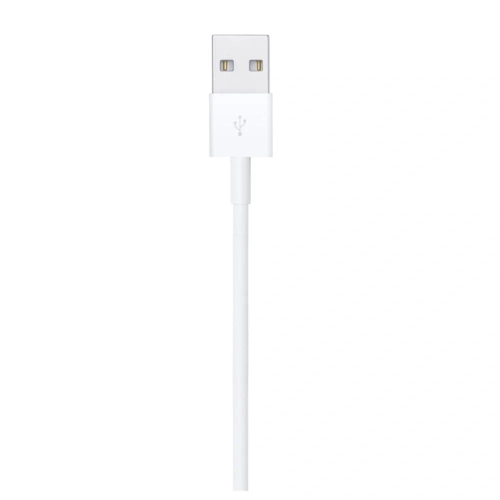 Apple Lightning to USB Cable (1 m)